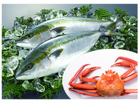 [Winter only] Extra crab and yellowtail course