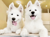 ≪冬休み期間 ≫通常チケット（50分）