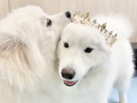 ≪冬休み期間 ≫通常チケット（50分）