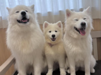 <Winter Holiday Period> Regular ticket (50 minutes)