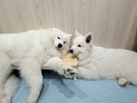 <Winter Holiday Period> Regular ticket (50 minutes)