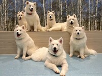 <Winter Holiday Period> Regular ticket (50 minutes)