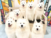 <Winter Holiday Period> Regular ticket (50 minutes)