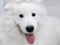 <Winter Holiday Period> Regular ticket (50 minutes)