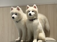 <Winter Holiday Period> Regular ticket (50 minutes)