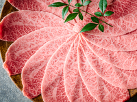 【クリスマスコース】2025年12月23日～25日