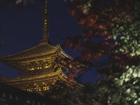 *【くろどう】窓際個室確約+ハーフボトル+X'masディナー