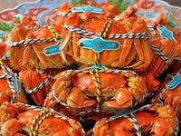 アラカルトと上海蟹（メス蟹とオス蟹）の食べ比べセットメニュー　※土日ディナーのみ