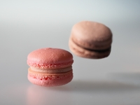 Macaron (Chocolate)