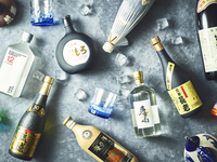 フェスティブ・アワモリナイトプラン