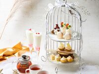 1/3, 1/4 [Lunch with Afternoon Set] 5 kinds of appetizers + 5 main dishes to choose from + seasonal afternoon set | Luxury Lunch (Lunch + Afternoon)