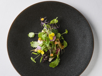 【Riviere】～リヴィエール～　メインは国産豚 　6品＋食後のお飲み物