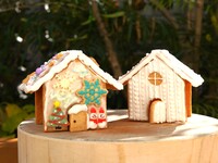 [12/20.21] Icing Cookie Experience & Christmas Lunch