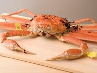 ＜ランチ＞冬季おまかせコース