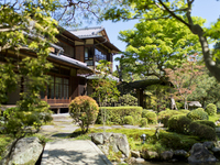 每日限定3份：桜鶴苑特制季节下午茶