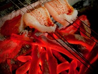 おまかせ料理8品　北海道堪能セット