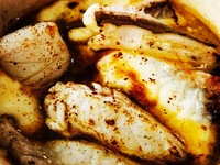 【2026.1月10日~】 12：00　瀬戸内ナポリ料理/魚介とパスタをたっぷりのコース¥15000(別途サービス料※予約時間の5分前までにご来店くださいませ。