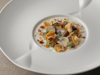 【Lunch】Prefix Menu B ¥11,300