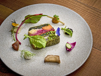 1/13~3/31 [Dinner] PIMIENTO ~6-course meal~