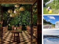 Japanese Wine Journey