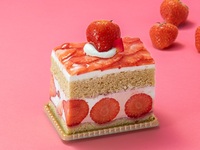 【1/1～1/3限定】あまおう苺のプレミアムショートケーキ