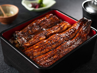 鹿児島・大隅産　うな重特上（一尾）