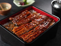 鹿児島・大隅産　うな重上 （3/4尾）