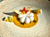 COCONUT VANILLA PANNA COTTA (VEGAN).