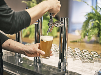 飲み放題付きコース