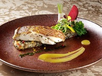 【1/13～1/31】「伊勢まだい」と「アカモク」のハーモニー　ゆず香るバターソース　焼きリゾット添え