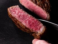 冬のおすすめコース