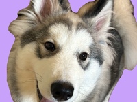 年末年始チケット（50分）