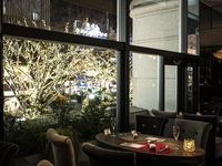 【表参道イルミネーション2025】早割！ケヤキ並木イルミネーション一望！料理長厳選コース 乾杯スパ付き全5品