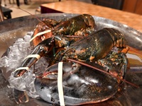 【12/26～2/28】碧  ～うみ～