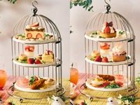[Special Set Plan] Nostalgic Strawberry Afternoon Tea
