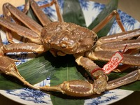 活松葉蟹コース2月～3月