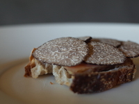 【東京最高の名物料理レストランウィーク2026】おまかせディナーコース（8plats)　