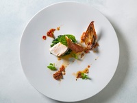 Dine B