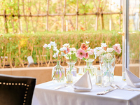 【成人式の晴れの日のお祝いに！】生花に彩られた特別席＆乾杯酒・ケーキがついた4品ランチコース-SEASON-