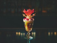 LC会員Parfait Constellation Fraisier de l’Amour