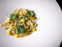 Menu Valentine｜Kitchen counter seats