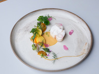 Dinner course Menu saison