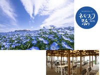 ◇プランを選択してください◇　ネモフィラBBQランチ　テーブル席・手ぶら