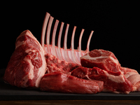 【年明け限定　”羊の初夢を見るコース”】11種部位、特別部位ホゲットや希少部位が楽しめる”コース”