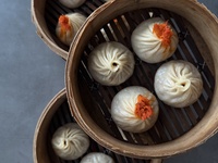 Joe's Special Course 3905