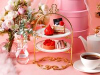 【冬の果実！いちごミニアフタヌーンデザート付き】表参道★夜カフェコース《ご予約制》