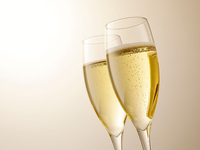 1/5～1/31限定！新年会特別個室ディナープラン（乾杯スパークリング付飲み放題）