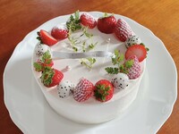 LINE割シャンティフレイズ-15㎝-