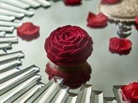 【Valentine 2026】MA ROSE