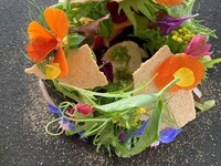 Lunch Pesca　お肉　〈豚肉or地鶏〉